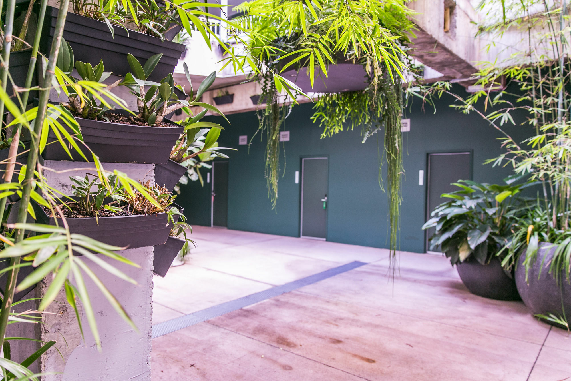 The Urban Newtown Hotel Sydney Exterior photo
